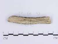 登錄號:F0001653藏品圖，第3張
