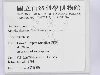 登錄號:F0001656藏品圖，第2張
