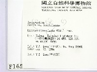 登錄號:F0001659藏品圖，第2張