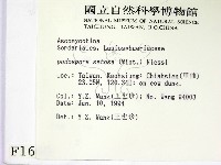 登錄號:F0001660藏品圖，第2張