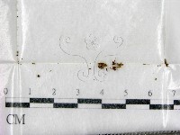 登錄號:F0001660藏品圖，第1張
