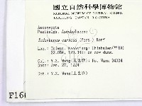 登錄號:F0001661藏品圖，第2張