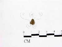 登錄號:F0001661藏品圖，第1張