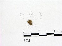 登錄號:F0001661藏品圖，第3張
