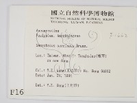 登錄號:F0001662藏品圖，第2張