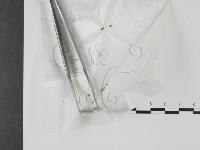 登錄號:F0001662藏品圖，第1張
