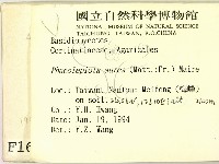 登錄號:F0001663藏品圖，第2張