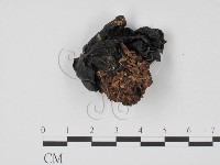登錄號:F0001664藏品圖，第1張