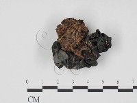 登錄號:F0001664藏品圖，第3張