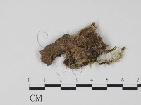 登錄號:F0001665藏品圖，第1張