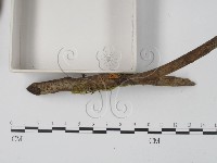 登錄號:F0001666藏品圖，第3張