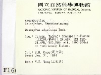 登錄號:F0001667藏品圖，第2張