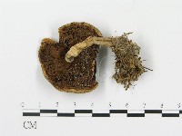 登錄號:F0001669藏品圖，第3張