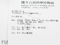 登錄號:F0001681藏品圖，第2張