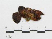 登錄號:F0001681藏品圖，第3張