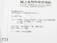 登錄號:F0001682藏品圖，第2張