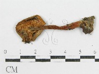 登錄號:F0001682藏品圖，第1張