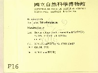 微皮傘屬藏品圖，第2張