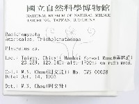登錄號:F0001686藏品圖，第2張