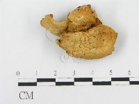 登錄號:F0001686藏品圖，第3張