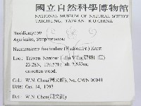 登錄號:F0001689藏品圖，第2張