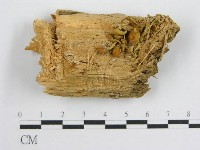 登錄號:F0001689藏品圖，第1張