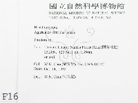 登錄號:F0001690藏品圖，第2張