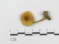登錄號:F0001690藏品圖，第3張