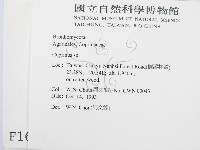 鬼傘屬藏品圖，第2張