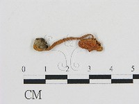 登錄號:F0001692藏品圖，第3張