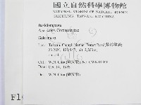 盔孢傘屬藏品圖，第2張
