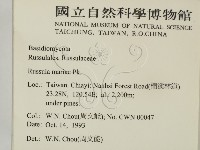 登錄號:F0001695藏品圖，第2張