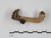 登錄號:F0001695藏品圖，第3張