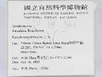 登錄號:F0001696藏品圖，第2張