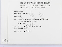 紅菇屬藏品圖，第2張