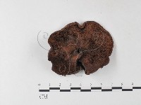 登錄號:F0001698藏品圖，第3張