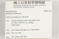 登錄號:F0001698藏品圖，第4張