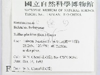 登錄號:F0001700藏品圖，第2張