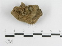 登錄號:F0001700藏品圖，第1張