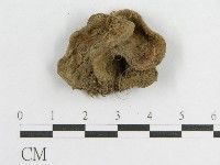 登錄號:F0001700藏品圖，第4張