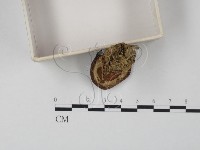 登錄號:F0001701藏品圖，第4張