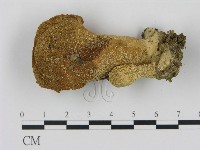 登錄號:F0001703藏品圖，第1張