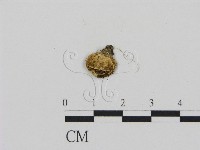 登錄號:F0001705藏品圖，第1張