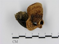 登錄號:F0001708藏品圖，第1張