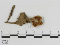登錄號:F0001709藏品圖，第3張