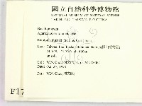 登錄號:F0001711藏品圖，第2張
