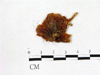 登錄號:F0001711藏品圖，第3張