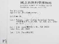 粉褶菌屬藏品圖，第2張