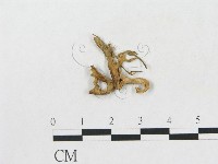 登錄號:F0001713藏品圖，第1張