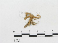 登錄號:F0001713藏品圖，第3張
